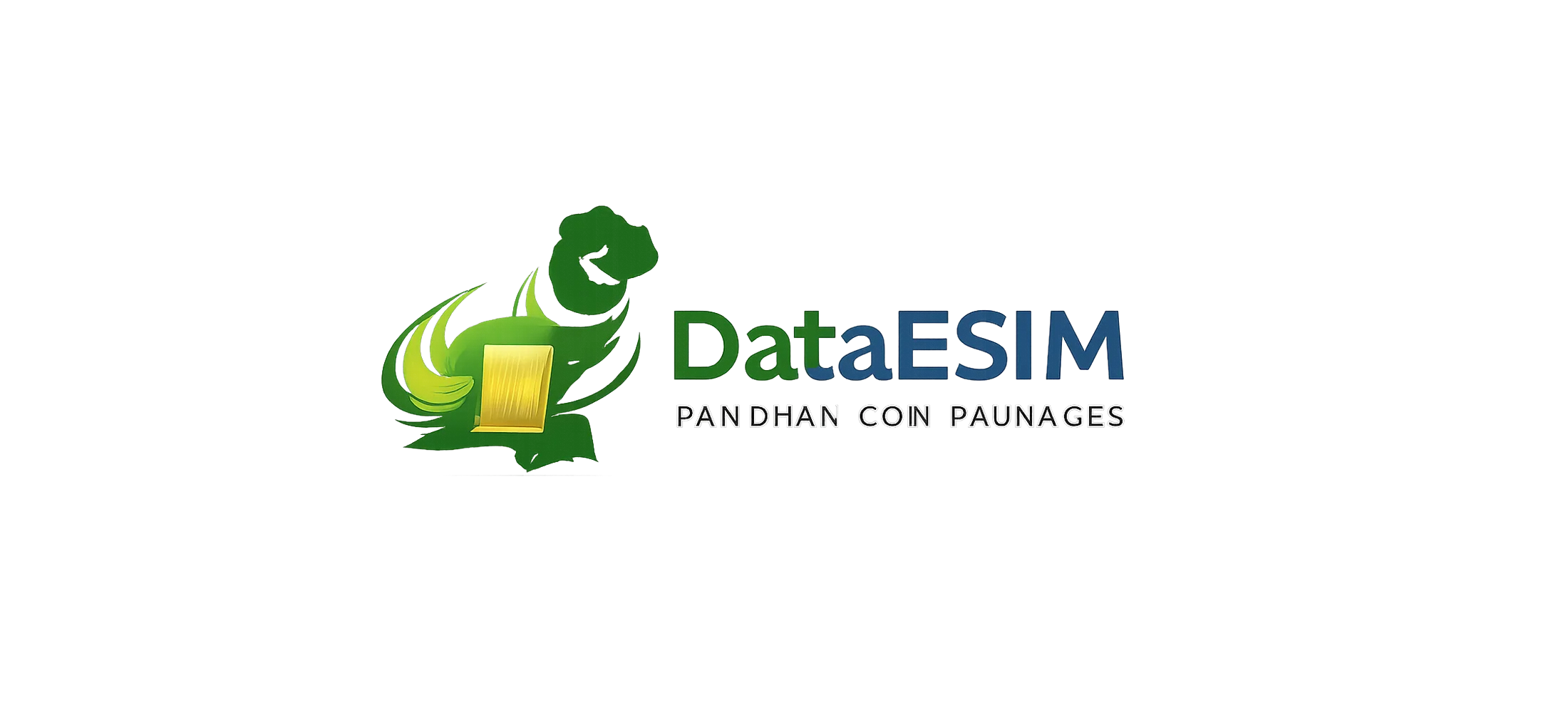 DataESIM logo